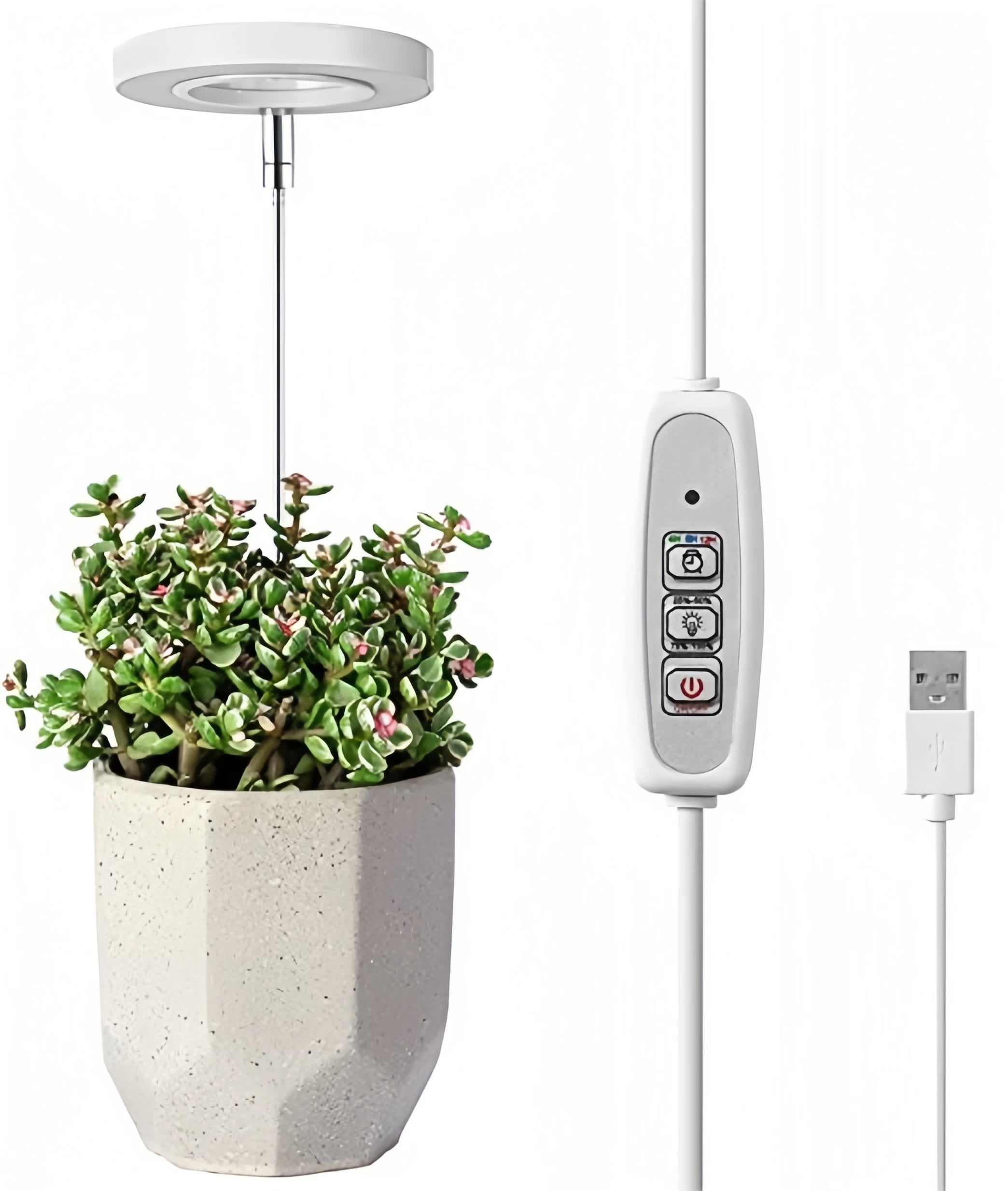 Full Spectrum LED Mini Grow Light